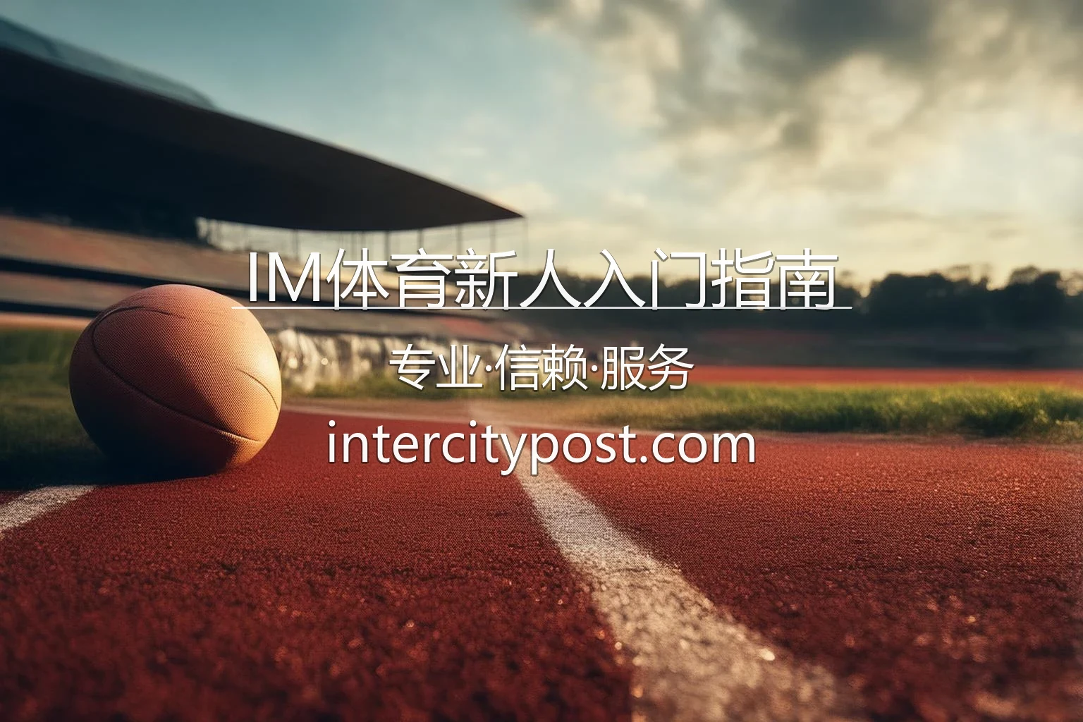 IM体育新人入门指南官方看板